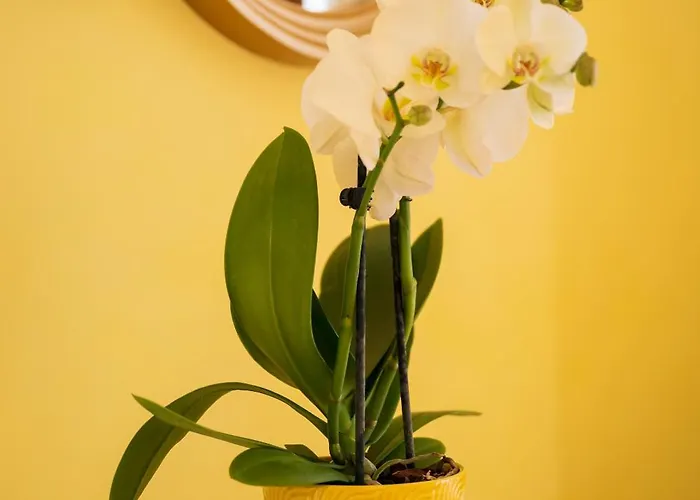 Palazzo Talamo Hotel