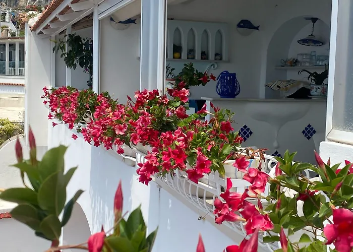 Palazzo Talamo Hotel 3*